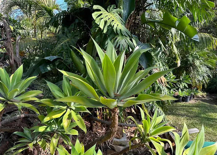 Palm Beach Bed & Breakfast